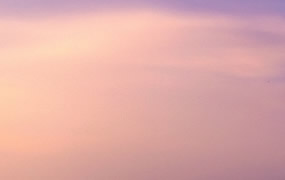 2026年度理性投资运营手册 (SOP)